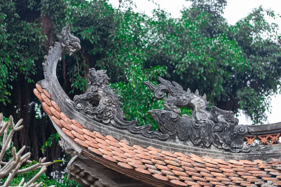Mẫu khách chọn nhiều